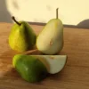 10 kg ČESKÉ HRUŠKY z rodinného SISPO sadu; 1. jakost - Image 5