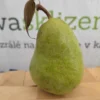 Momentka - macro zoom hrušky Morava vystavené při focení na stánku firmy ČerstváSklizeň.cz